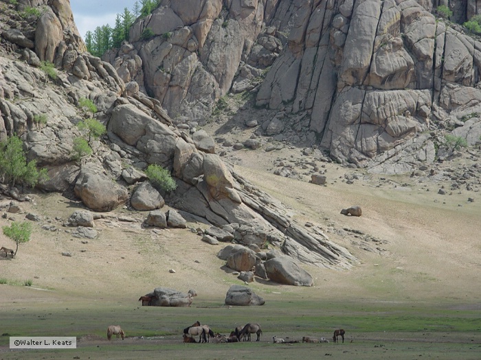 Terelj, Mongolia